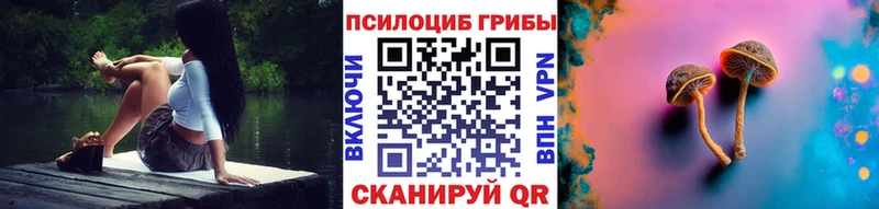 Псилоцибиновые грибы MAGIC MUSHROOMS  где купить наркотик  Людиново 